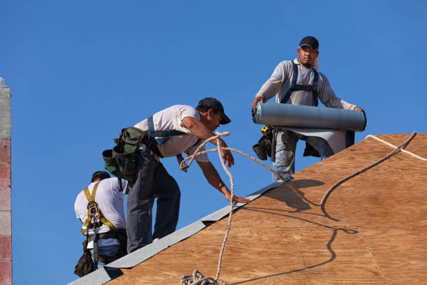 Best Sealant for Roof  in Dysart, IA
