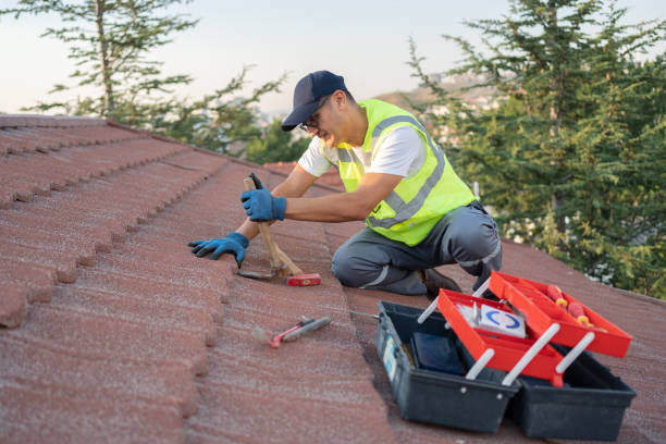 Best Roof Leak Repair  in Dysart, IA
